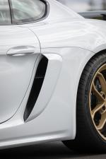 Porsche 718 Cayman GT4 2019 года (WW)